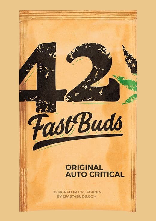 FAST BUD Critical Auto