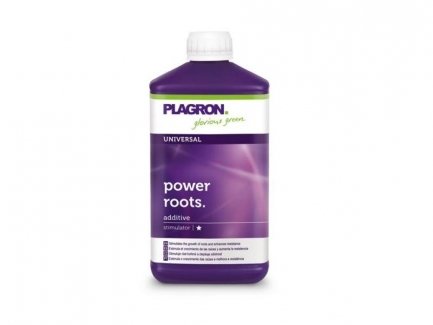 POWER ROOT 1L PLAGRON