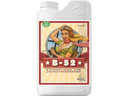 ADVANCED B 52 250ML