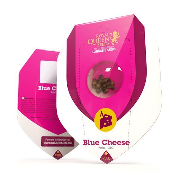 Blue Cheese ROYAL QUEEN SEEDS