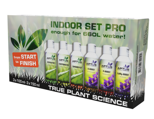 Indoor set PRO Aptus